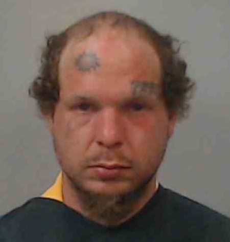 STEVEN DAVID FOLK
