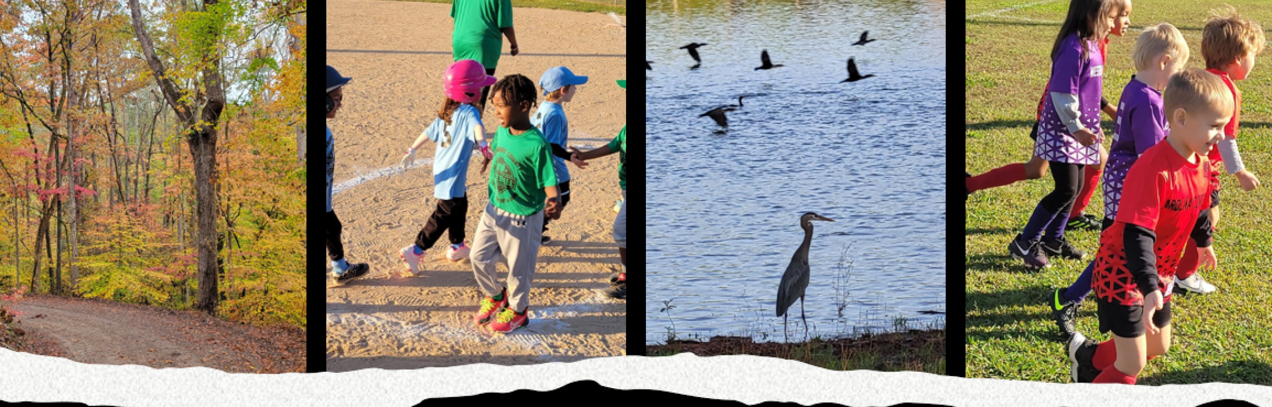 Newberry County parks and recreation banner of pictures.