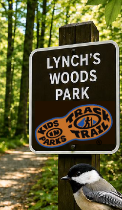 Lynch's Woods Park TRACK Trail Picture.